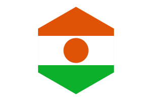 Niger Flag Hexagon Shape flag