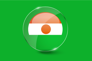 Niger Flag Glossy Round Button flag