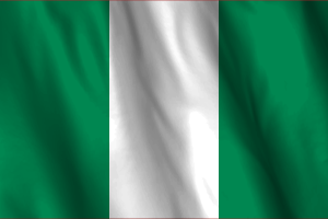 National Flag of Nigeria flag