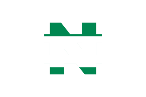 Nigeria Currency icon flag