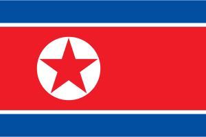 Flag of North Korea flag
