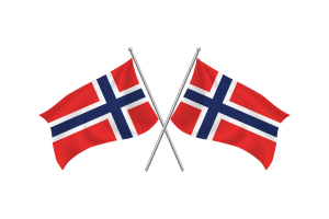 Norway Waving Friendship Flag flag