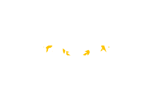 Rhode Island Text Art flag