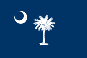 Flag of South Carolina flag