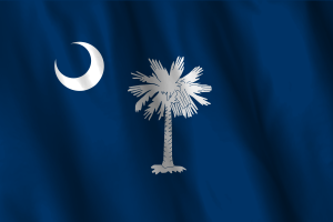 National Flag of South Carolina flag