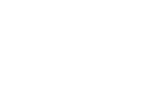 Emblem of South Carolina flag