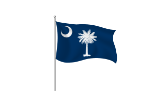 South Carolina Flag symbol flag