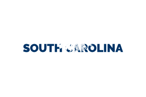 South Carolina Text Art flag