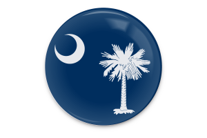 South Carolina Flag Vector Art flag