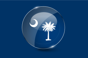 South Carolina Flag Glossy Round Button flag