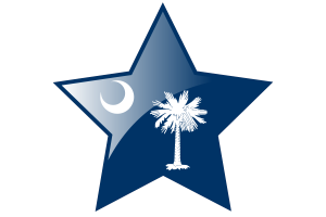 South Carolina Flag Star Icon flag