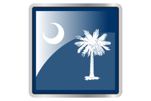 South Carolina Flag Square icon flag