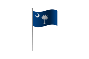 Waving Flag of South Carolina flag