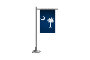 3d South Carolina Standing Flag flag