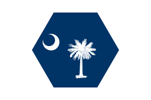 South Carolina Flag Vector Free | SVG and PNG flag