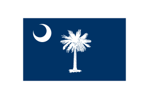 South Carolina Flag Triangle Vector Illustration flag