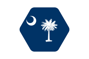 South Carolina Flag Vector Illustration flag