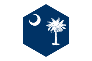 South Carolina Flag Hexagon Shape flag