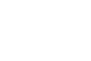 Emblem of texas flag