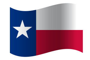 texas Flag flag