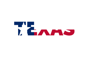 texas Text Art flag
