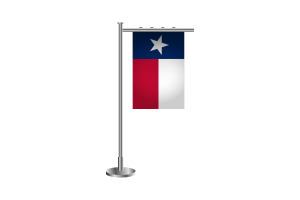 3d texas Standing Flag flag