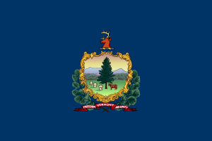 Flag of Vermont flag