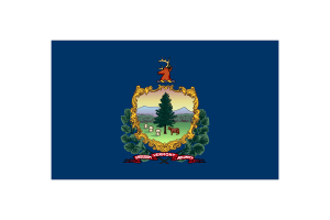 Vermont Flag Vector Illustration flag