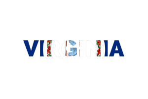 Virginia Text Art flag