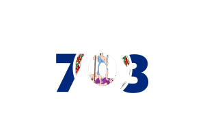 Virginia Area Codes flag