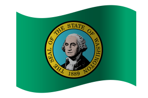 Washington Flag flag