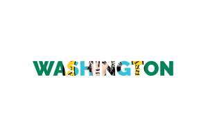 Washington Text Art flag