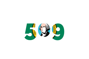 Washington Area Codes flag