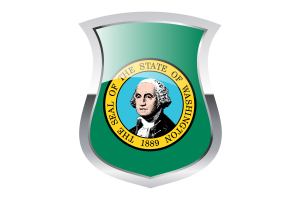 Washington Pride Flag flag