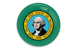 Washington Flag Vector Art flag