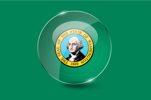 Washington Flag Glossy Round Button flag