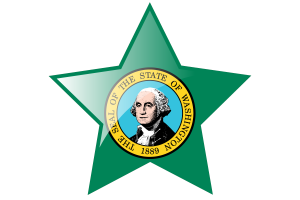 Washington Flag Star Icon flag