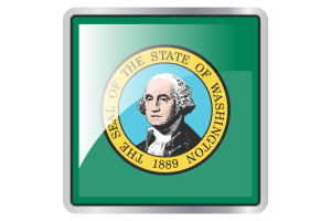 Washington Flag Square icon flag