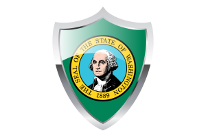 Washington Flag with Medieval Heater Shield flag