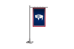 3d Wyoming Standing Flag flag