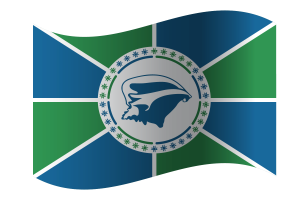 Martinique Flag flag