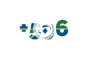 Martinique Area Codes flag