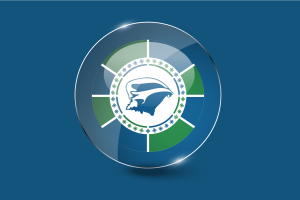 Martinique Flag Glossy Round Button flag