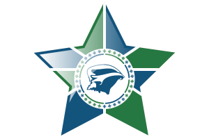 Martinique Flag Star Icon flag