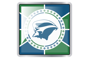 Martinique Flag Square icon flag