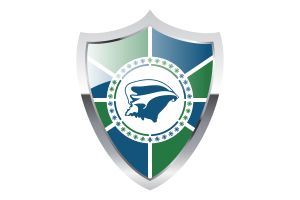 Martinique Flag with Medieval Heater Shield flag