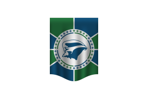 Martinique Flag Banner flag