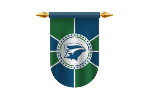 Martinique Flag Emblem Vector Images flag