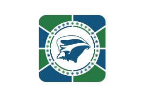 Martinique Flag Square Rounded Shape flag