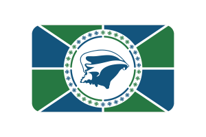 Martinique Flag Triangle Vector Illustration flag